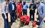 از سوی شرکت ملی حفاری ایران سه هزار اصله نهال در روستاهای اطراف منطقه کریت کمپ غرس می شود