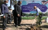 كاشت درختان مثمر در مناطق نفتخیز جنوب با غرس ۲۰ هزار اصله نهال آغاز شد