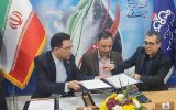 امضای تفاهمنامه همكاری بازرسی فنی خوردگی فلزات شركت ملی مناطق نفتخیز جنوب با دانشگاه شهید چمران اهواز
